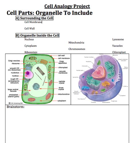 Check spelling or type a new query. Bio: Cell Analogy - Zannie's Science Page