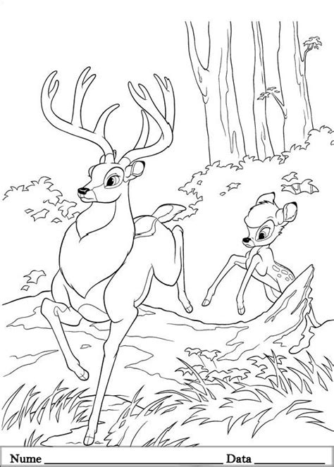 Desene De Colorat Si Planse Educative Planse De Colorat Cu Bambi Porn