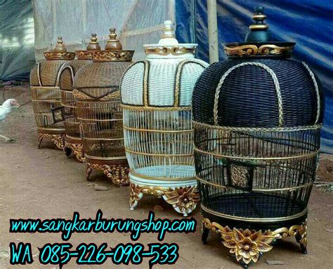 Setiap pagi sangkar dijemur untuk merangsang calon indukan supaya cepat kawin. Gambar Sangkar Perkutut Lomba - Ada Lomba