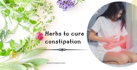 Herbs For Constipation Get A Fast Relief By Using These 10 Herbs