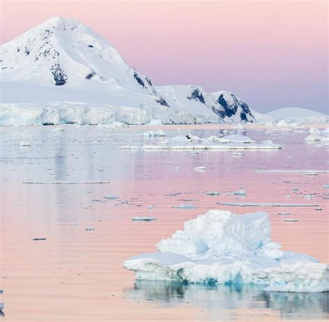 Arktis: Eisschmelze verstärkt Wetterextreme im Sommer - WELT
