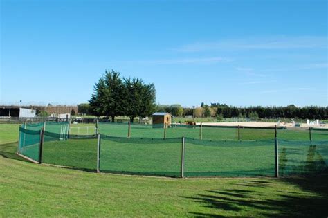 These pens are usually constructed from panels or normal fencing and. DIY cheapo … | Horse farm ideas, Diy horse barn, Horse shelter