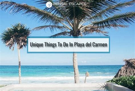 Unique Things To Do In Playa Del Carmen Rental Escapes