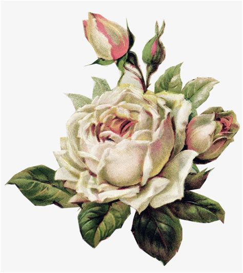 Download Pale Pink Rose Vintage Paper Vintage Floral Vintage White
