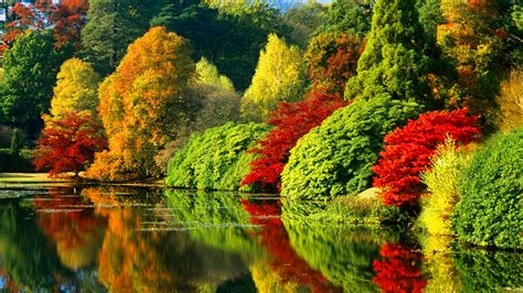 Colorful Autumn Trees With Reflection On River During Daytime Hd Nature