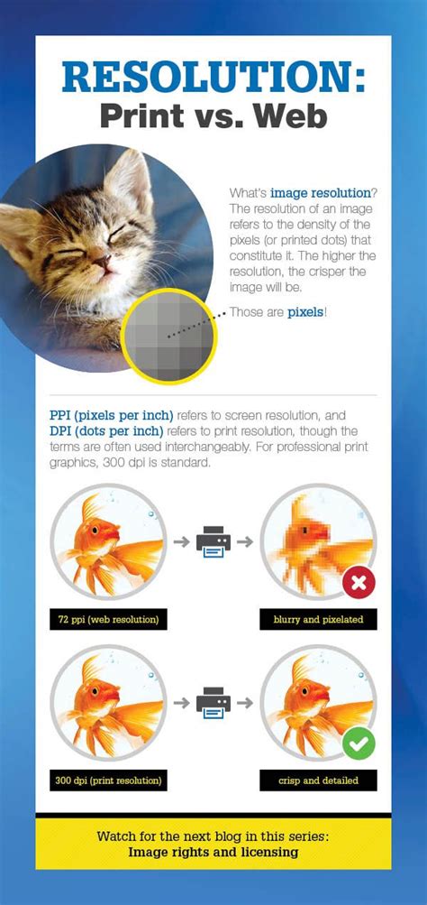 Guide To Image Resolution Print Vs Web Infographic Signal Image