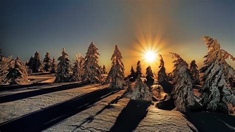 Snow Covered Landscape With Shadow Of Trees During Sunrise Hd Winter
