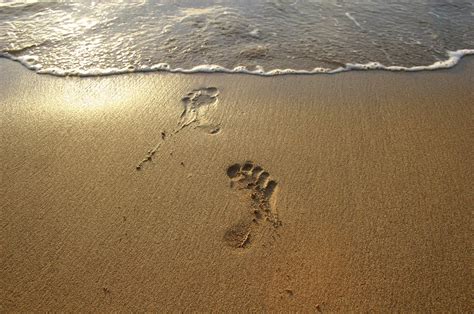 Free Footprints in the sand 2 Stock Photo - FreeImages.com