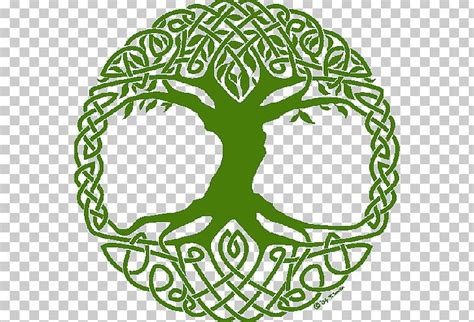 Tree Of Life Symbol Celtic Sacred Trees PNG, Clipart, Area, Artwork ...