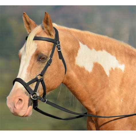 Maybe you would like to learn more about one of these? Two Horse Tack's Sidepull Bitless Bridle For Horses