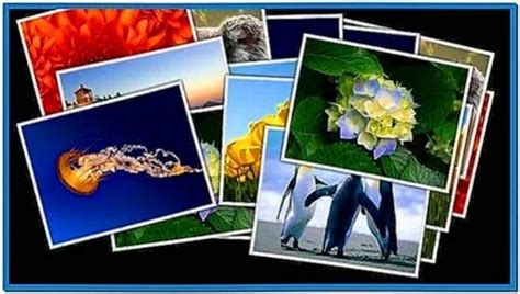Windows Photo Collage Screensaver Download Free