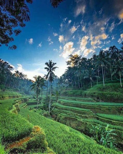 Pemandangan Indah Di Denpasar Bali
