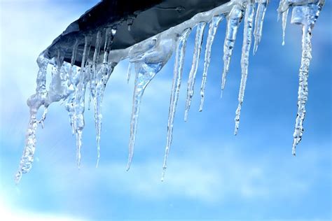 Free Photo Snow Winter Frozen Icicle Ice Cold Nature Max Pixel