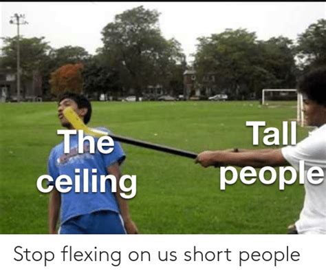 Stop Flexing On Us Short People Stop Meme On Meme