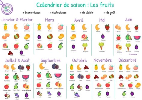 Calendrier Des Fruits Et Légumes De Saison Programme Malin