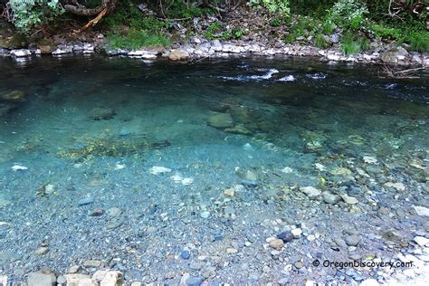 Elk River Swimming And Rockhounding Oregon Coast Oregon Discovery