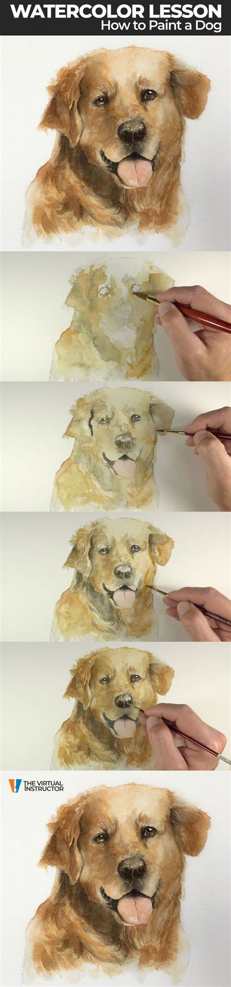 Watercolor Lesson How To Paint A Golden Retriever Dog Portraits