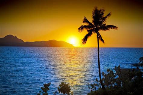 Sunset Sky With Palm Tree Stock Image Image Of Tree 2044497
