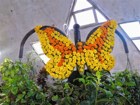 Dubai Butterfly Garden Review Negative