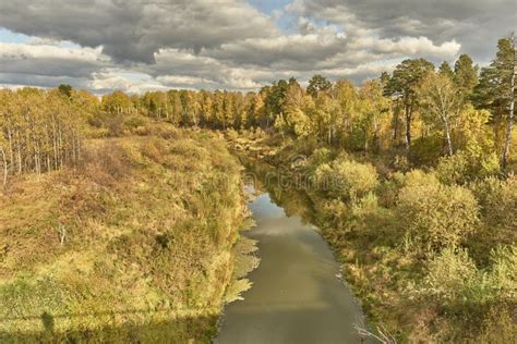 Siberian Autumn Landscape With Taiga River Stock Image Image Of Grass