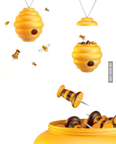 Do You Like Bees 9gag