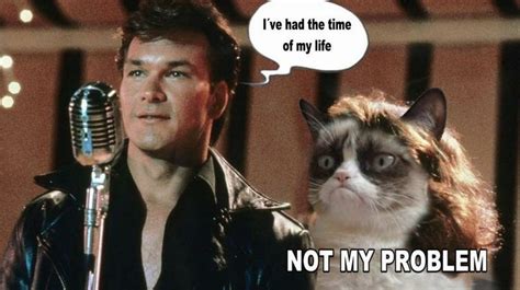 Grumpy Cat Stars In Dirty Dancing Humor Pinterest