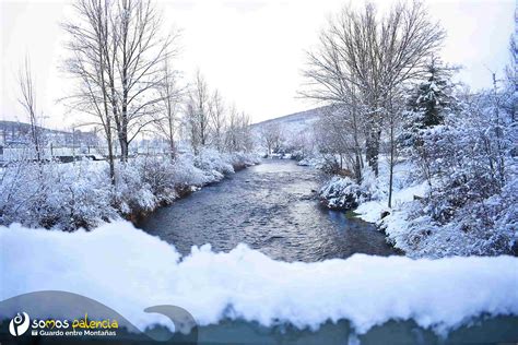 Post the definition of nieve to facebook share the definition of nieve on twitter. Los primeros copos de nieve llegan a la Montaña Palentina