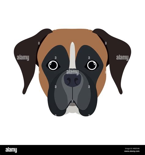 Boxer Dog Fun Stock Vector Images Alamy