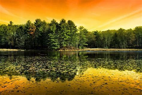 Orange Sunrise Reflection Landscape By Christina Rollo Sunrise Art