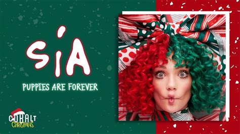 .puppies are forever, not just for christmas puppies are forever, not just for christmas cause they're so cute and fluffy with shiny coats but will you love'em when they all dance slow puppies are. Sia - Puppies Are Forever - Official Audio Release - YouTube