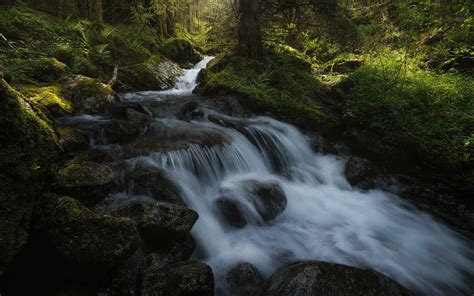 Download Wallpapers Mountain River Stones Forest Waterfall Moss