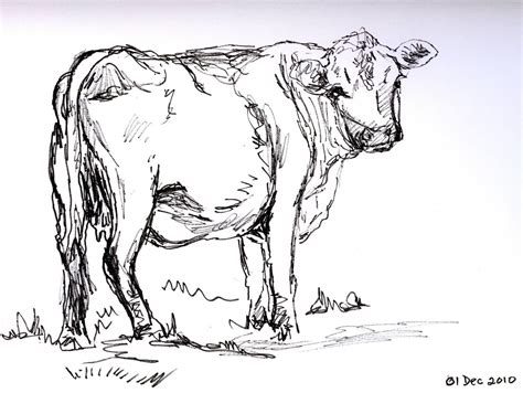 Love You Like A Cow Cartoon Sketches Animal Sketches Drawing Sketches