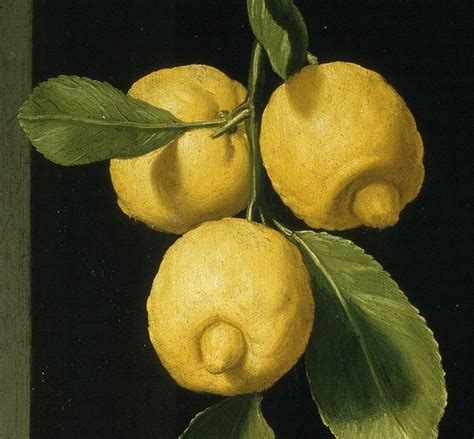 Three Lemons With Green Leaves On A Black Background By An Unknown