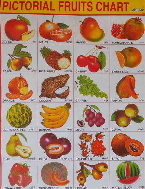 Sugar In Fruit Chart Printable