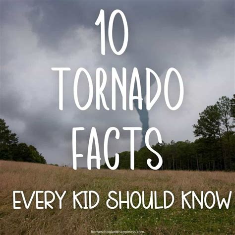 15 Tornado Facts For Kids Learning About Tornados Printable