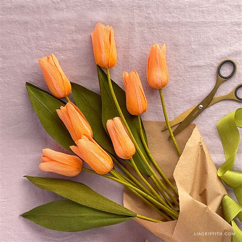 Heavy Crepe Paper Tulips Template And Video Tutorial Lia Griffith