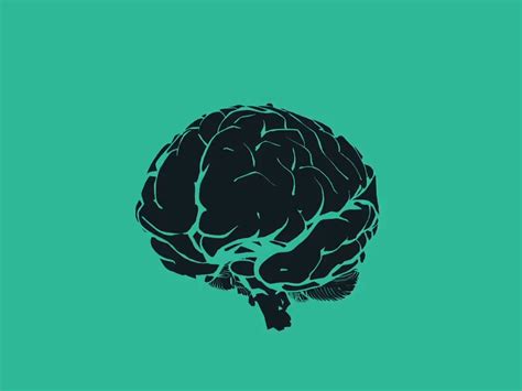 Explore and share the best cerebral cortex gifs and most popular animated gifs here on giphy. Me? by Vale ∇ on Dribbble