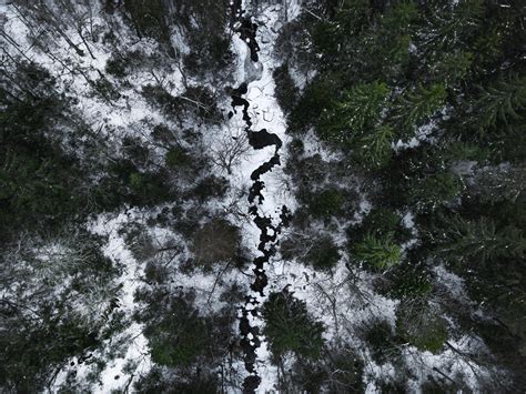 Wallpaper River Forest Aerial View Snow Winter Hd Widescreen