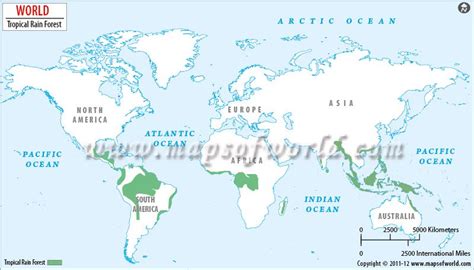 World Map Showing The Tropical Rainforest Locations Around The World