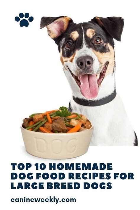 10 Best Homemade Dog Food Recipes for Large Dogs in 2020 ...