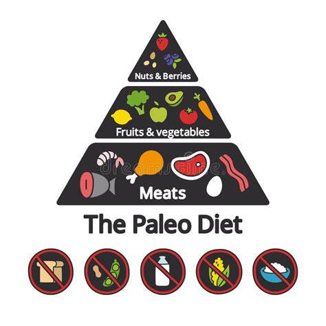 Paleo Food Pyramid Nutrition Infographic Food Pyramid Of The Paleo