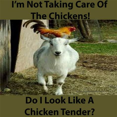 Pin On Funny Baby Goat Quotes Memes And Puns