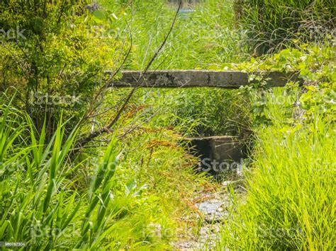 One Rustic Stone Bridge Stock Photo Download Image Now Beauty In