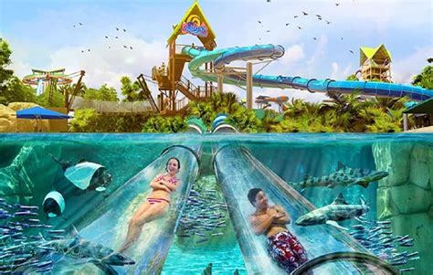 Aquatica Orlando Florida Seaworlds Water Park