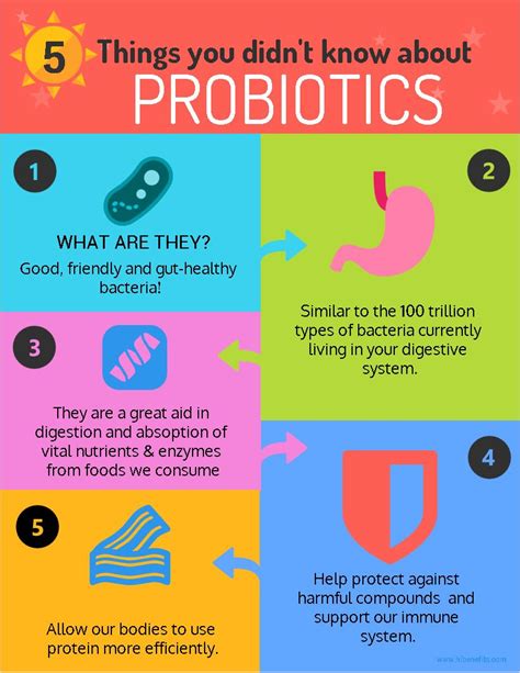 Find Out The Benefits Of Probiotics Probiotics Probiotic Benefits