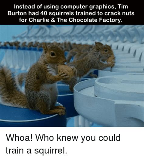Instead Of Using Computer Graphics Tim Burton Had 40 Squirrels Trained