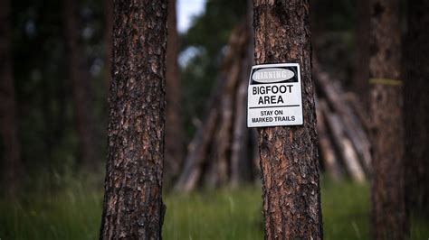 Expedition Bigfoot Scours Oregon Woods For Signs Of The Mythical And