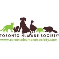 Toronto Humane Society | LinkedIn