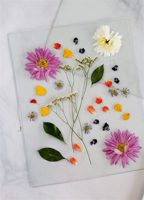 How To Pressing Framing Flowers Lily And Val Living Pressed