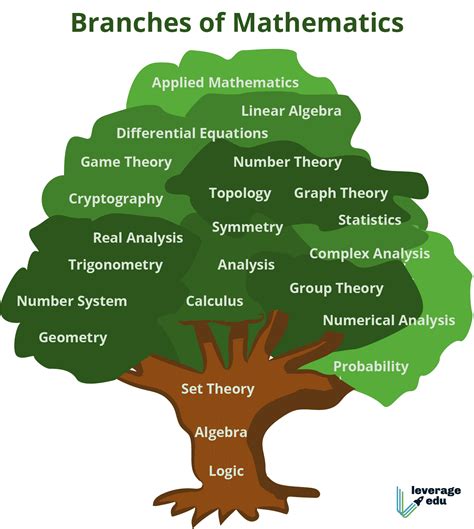 Main Branches Of Mathematics Tree Pdf Pure And Applied Leverage Edu